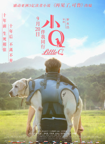 全部费免一级毛片不收费